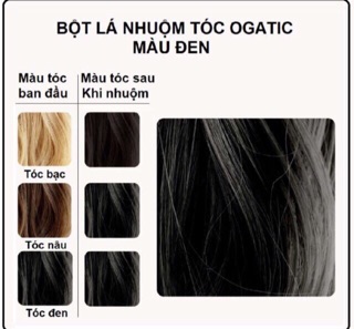 Bột lá nhuộm tóc ogatic #màuden