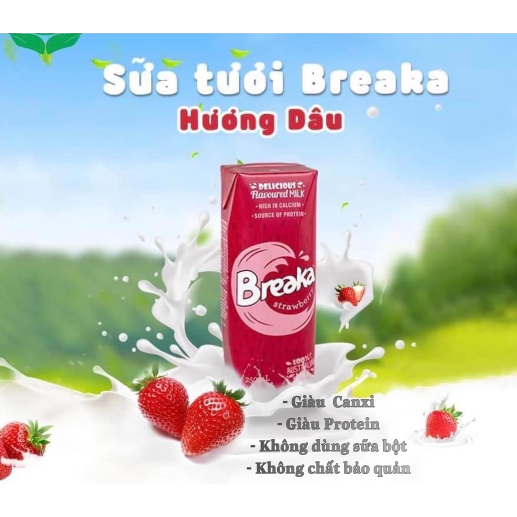 Sữa tươi breaka/pauls/ A2 các vị 1 thung 24h