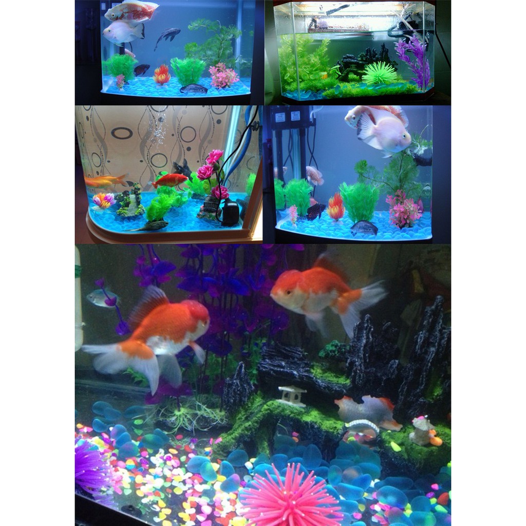 Sỏi Trang Trí FREESHIP Sỏi Trang Trí Bể Cá Cảnh