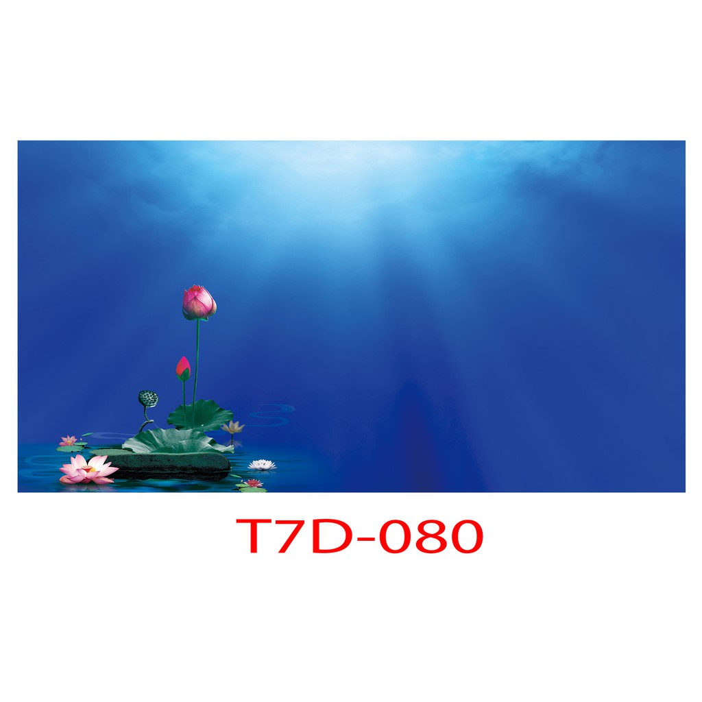 Tranh 3D bể cá mã T7D-080 kt (60,80,90,100,1m2,1m5,1m6)