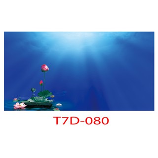 Tranh 3d bể cá mã t7d-080 kt