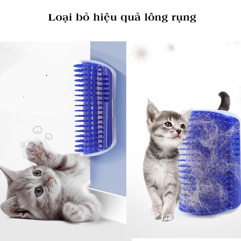 Lược gắn tường lấy lông tự động và gãi ngứa cho mèo kèm cỏ catnip - CatIt