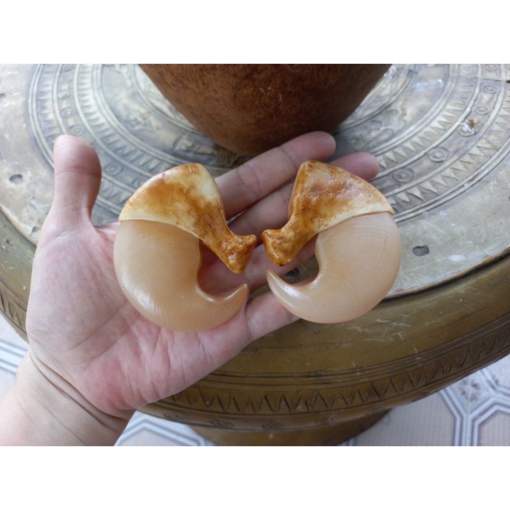 Móng vuốt cọp nhân tạo 7cm