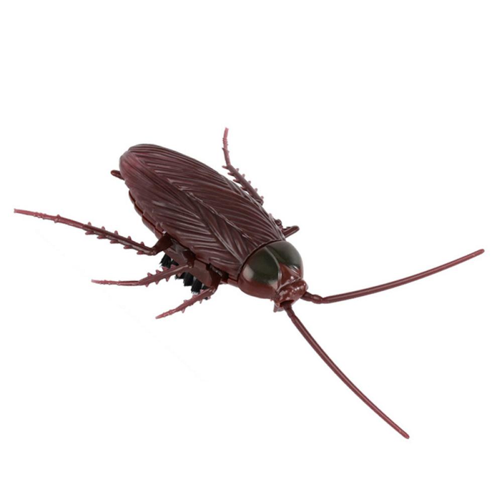 Đồ Chơi Mô Hình Con Gián Điện Tử D8O7 Trang Trí Halloween