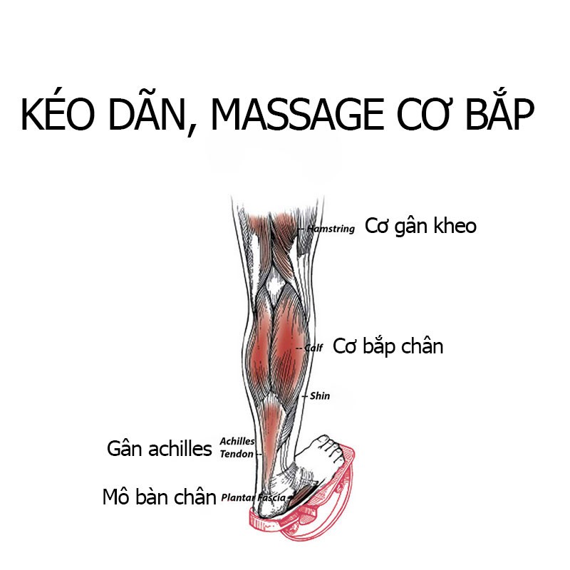 Dụng cụ dãn cơ mông, đùi, chân, tránh tê cơ, chấn thương khi tập Gym, Yoga, tăng khả năng linh hoạt của chân-TBANG01