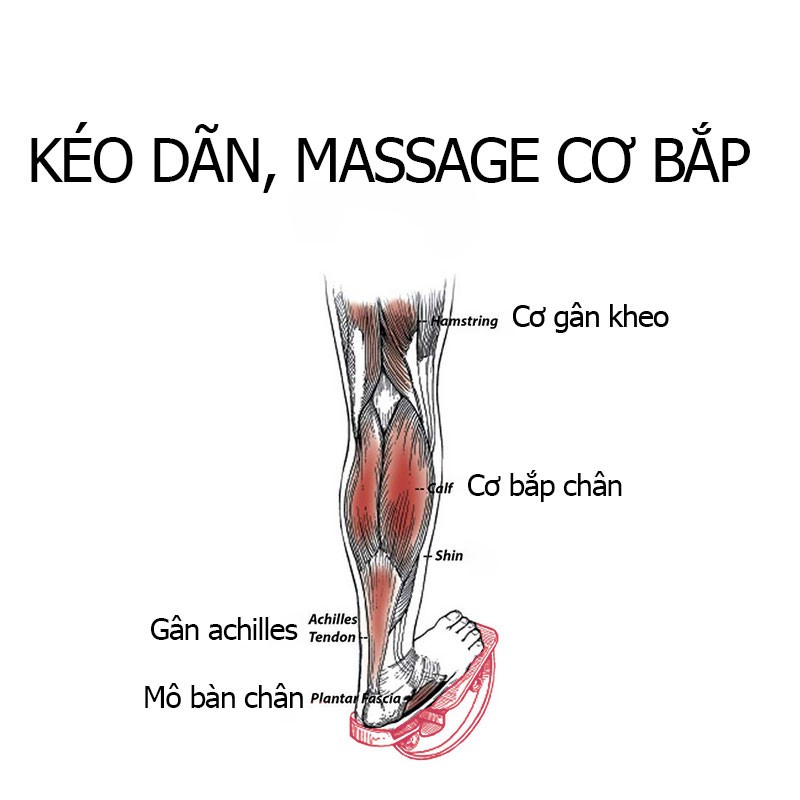 Dụng cụ dãn cơ mông, đùi, chân, tránh tê cơ, chấn thương khi tập Gym, Yoga, tăng khả năng linh hoạt của chân