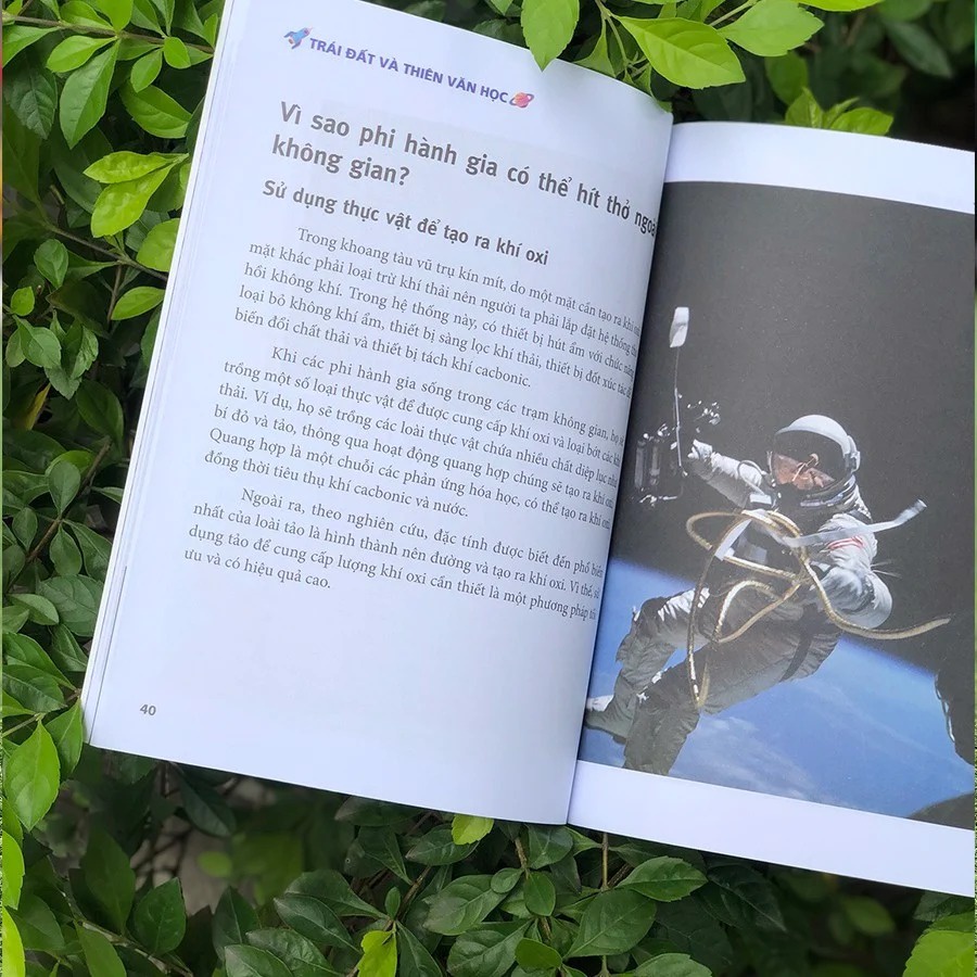 SÁCH - Bách khoa tri thức dành cho trẻ em :Tiến sĩ Mèo thông thái 58K