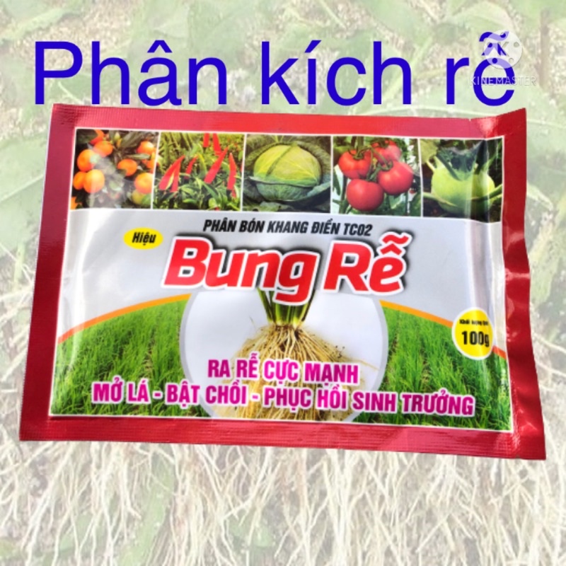 Phân Bung rễ chuyên dùng kích rễ cực mạnh, bật mầm chồi gói 100g