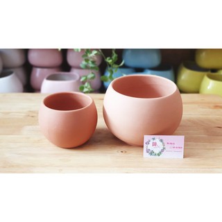 Chậu đất nung trồng cây mẫu hạt dẻ