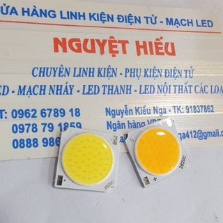 Nhân đèn led cob 20w