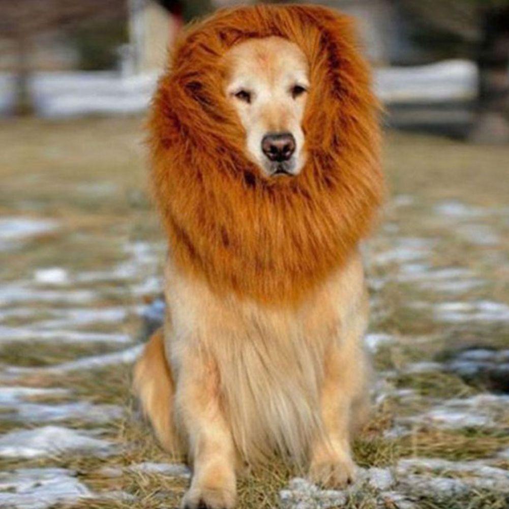 AUGUSTINA Đầu Sư Tử Trang Trí Halloween