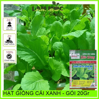 Hạt giống cải xanh - gói 20gr