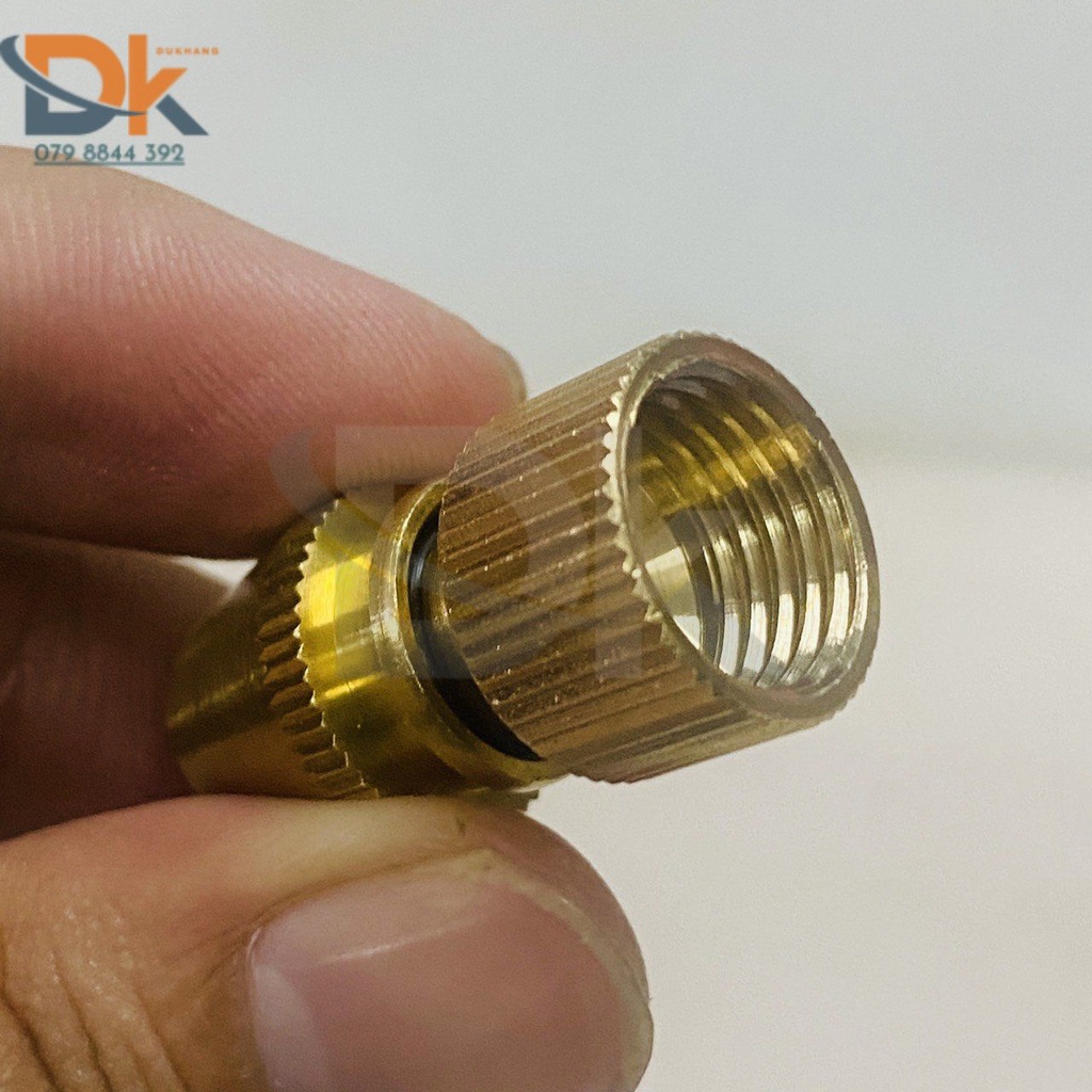 Béc cá sấu ren trong 13