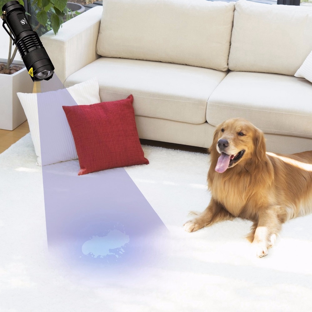 Đèn pin chiếu tia UV 365/395nm kích thước nhỏ gọn tiện lợi