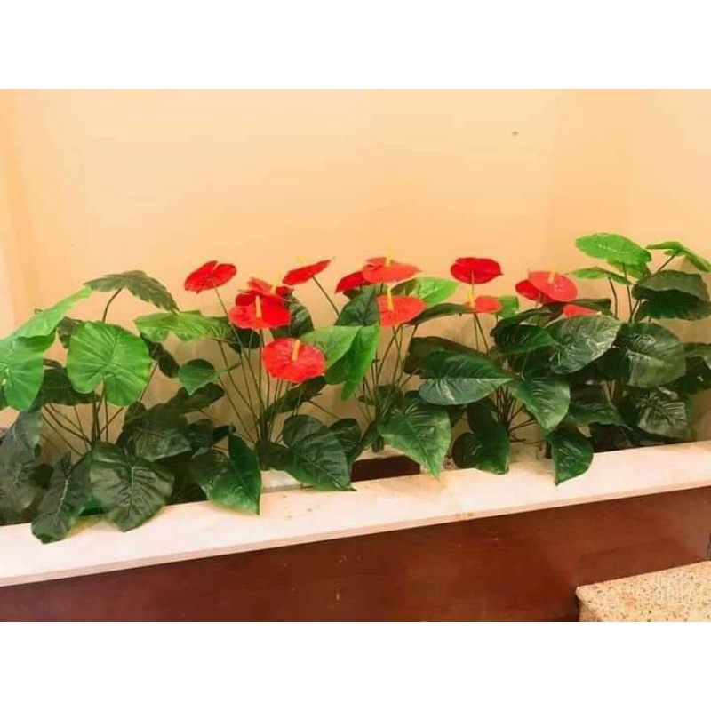 Cây hồng môn sang trọng, cây hoa giả trang trí hàng rào, tường hoa, khuôn viên khách sạn