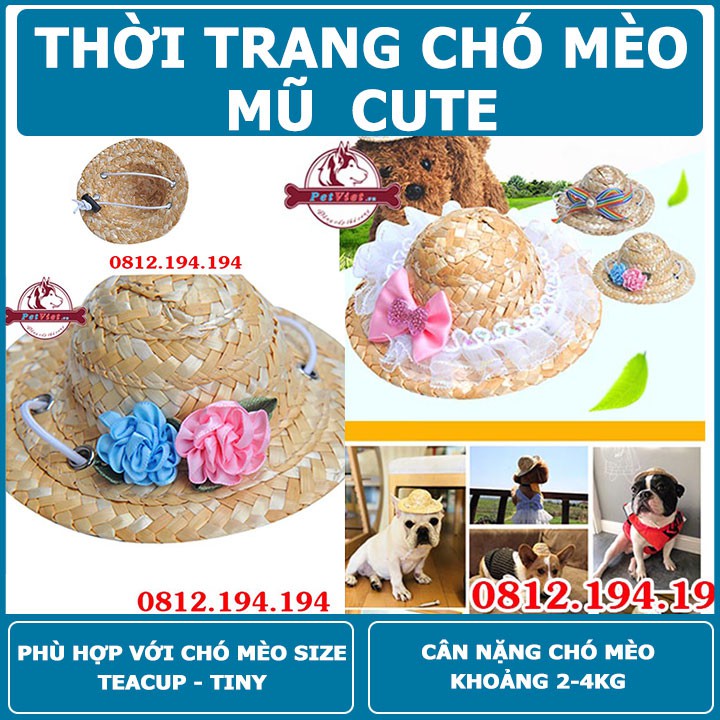 Mũ Thời Trang Cho Chó Mèo