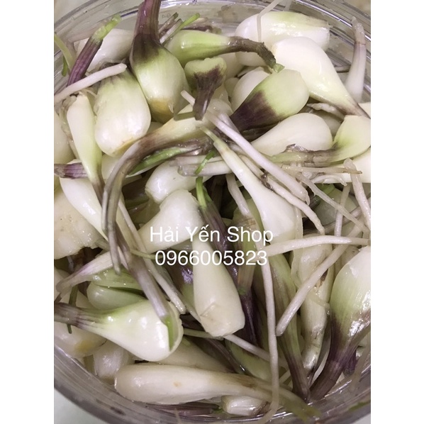 Dưa Củ Kiệu-Củ Kiệu Chua Ngọt Hũ 500g~1kg