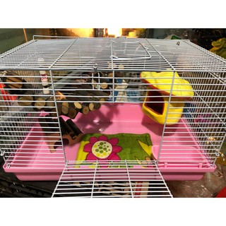 Lồng đại size 47-30-30 loại tốt full phụ kiện cho SÓC .