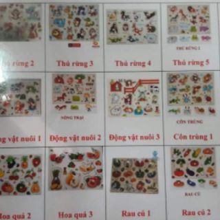 Combo 3 bảng núm gỗ chọn mẫu