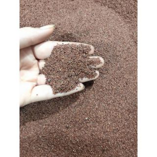 Ngũ hoa hạt mặt nạ ngũ hoa hạt đắp mặt