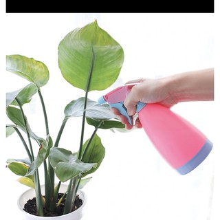 Bình xịt tưới cây mini 500ml