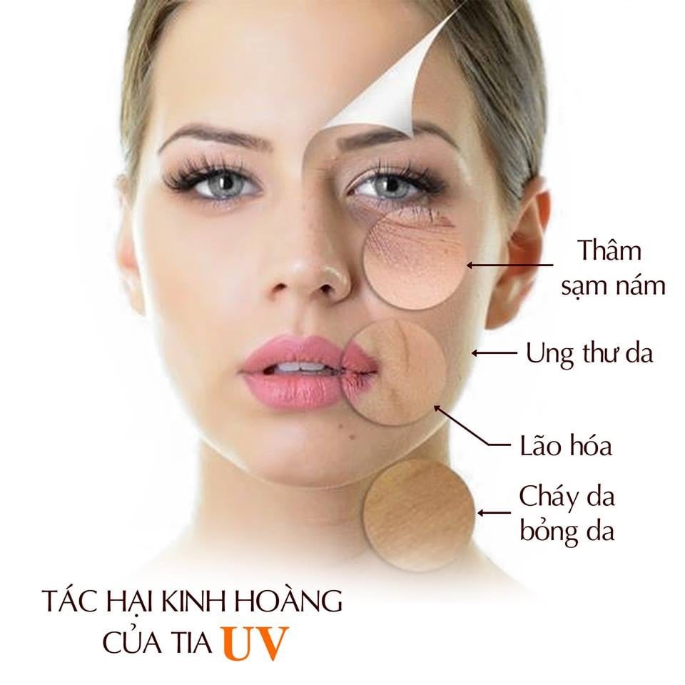 [CHÍNH HÃNG] Kem và gel chống nắng W.lab SPF50, PA+++ 50ml Hàn Quốc (mẫu mới) - VIOLETPHAM