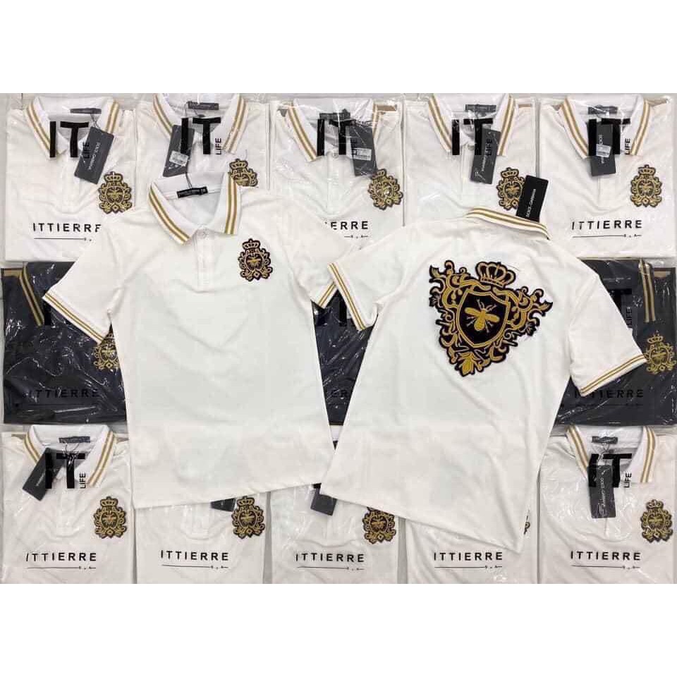 Video Áo thun nam thêu cao cấp cotton 4 chiều thoáng mát 2 màu trắng đen phối hình thời trang | BigBuy360 - bigbuy360.vn