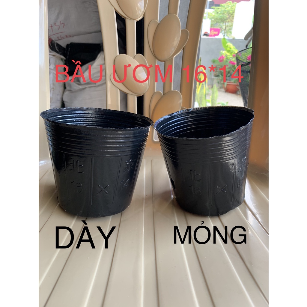 BẦU ƯƠM CÂY 16*14 DÀY VÀ MỎNG ( DỊCH TRUYỀN CHO CÂY, KÍCH RỄ , MẦM CÂY XANH LÁ, LƯỚI CHE NẮNG...)