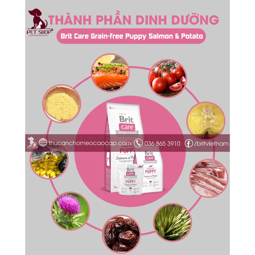 Thức Ăn Cho Chó Phốc Hươu 1-12 Tháng | Brit Care Grain-Free Puppy Salmon & Potato
