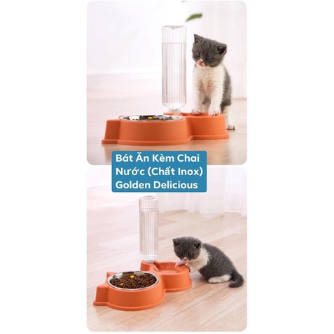 Bát Ăn Chó Mèo Inox Kèm Bình Nước Màu Sắc Đẹp Sang Trọng - Chất Liệu Vỏ Nhựa Cao Cấp - Kích Thước Dài 39 x Rộng 21 CM