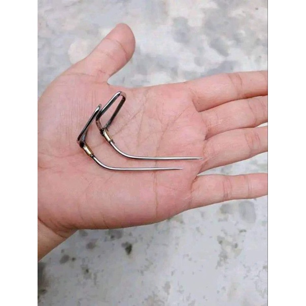 Cựa Gà Nòi Lai Óng - Đủ Size