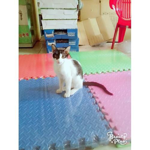 BỘ 16 MIẾNG THẢM XỐP LÓT SÀN - VÂN KHẾ (kích thước 1 tấm 60x60x1cm)