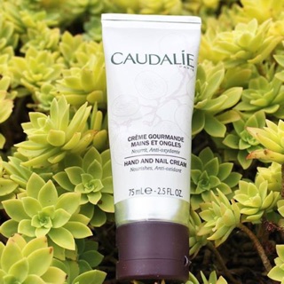 Kem tay caudalie 50ml