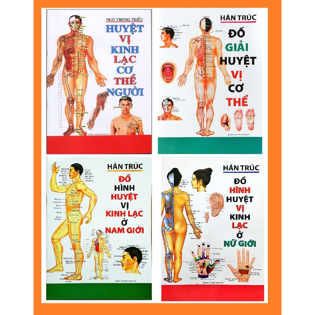 Combo Sách - 4 Cuốn Huyệt Vị Kinh Lạc Về Cơ Thể Người - nguyetlinhbook