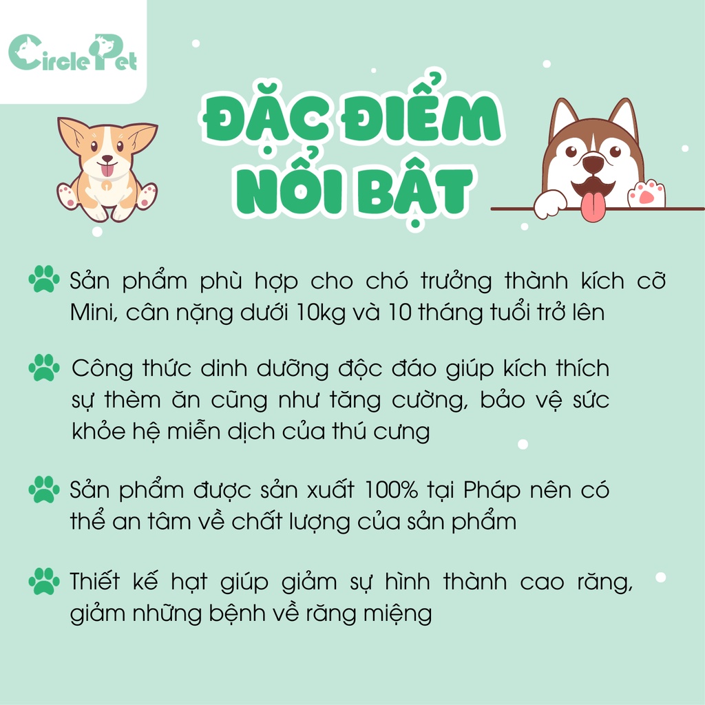 Thức Ăn Cho Chó Trưởng Thành Kích Cỡ Nhỏ Royal Canin Mini Adult Nhiều Size - Circle Pet