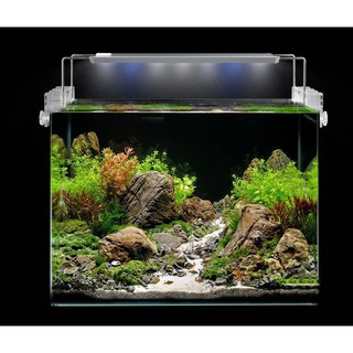 Đèn AQUABLU cho bể thủy sinh 80cm-100cm