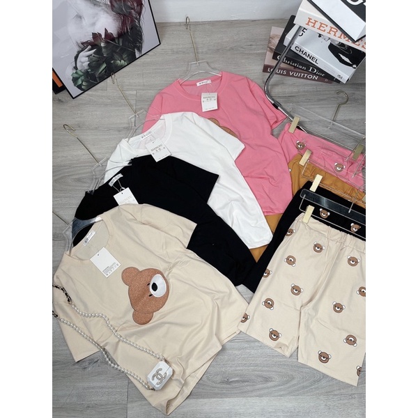 Bộ gấu cotton lửng Set gấu áo thun kèm quần sooc in gấu