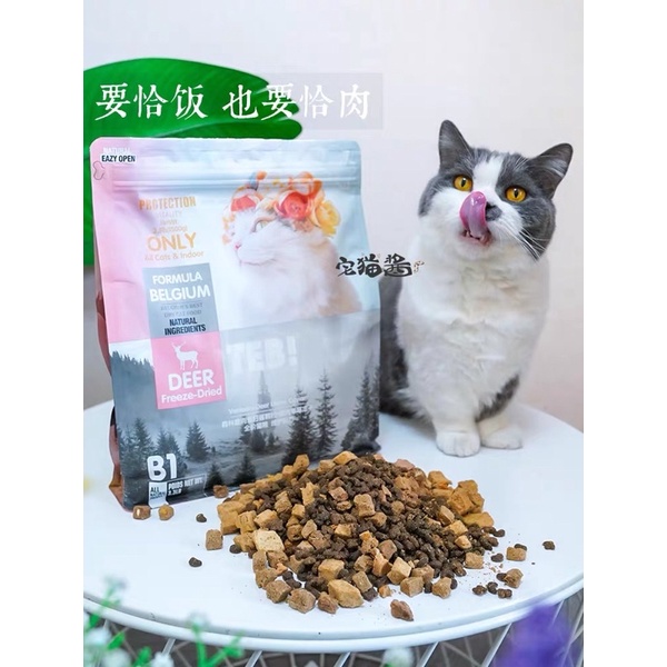 Hạt cho mèo Teb B Thức ăn cho mèo tăng cân Grain Free với thịt sấy khô cao cấp NourseVietnam