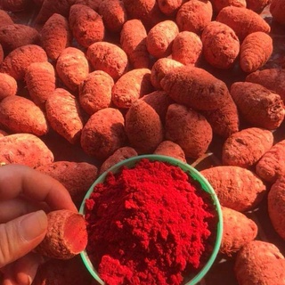 Bột nghệ đỏ nguyên chất Tấn Phát