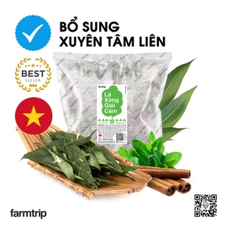 Lá xông thảo mộc - giải cảm, tăng sức đề kháng