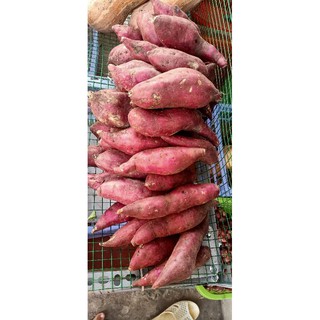 Khoai lang Nhật tươi 1kg