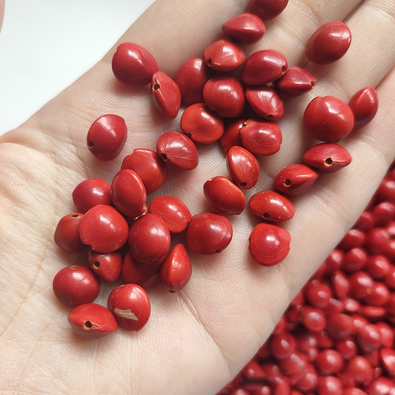 10 hạt hồng đậu xỏ lỗ 8-11mm nguyên liệu làm trâm làm trang sức cổ trang cosplay cổ phục