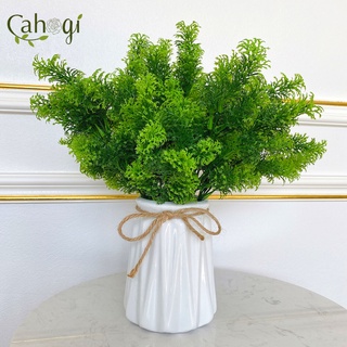 Cây Giả - Cành Rong La Hán