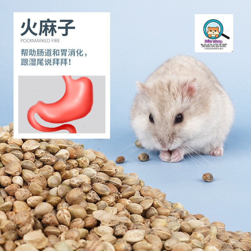 Thức ăn cho Hamster Ngũ cốc Thức ăn cho chuột Thức ăn cho thú cưng [TANGUCOC]