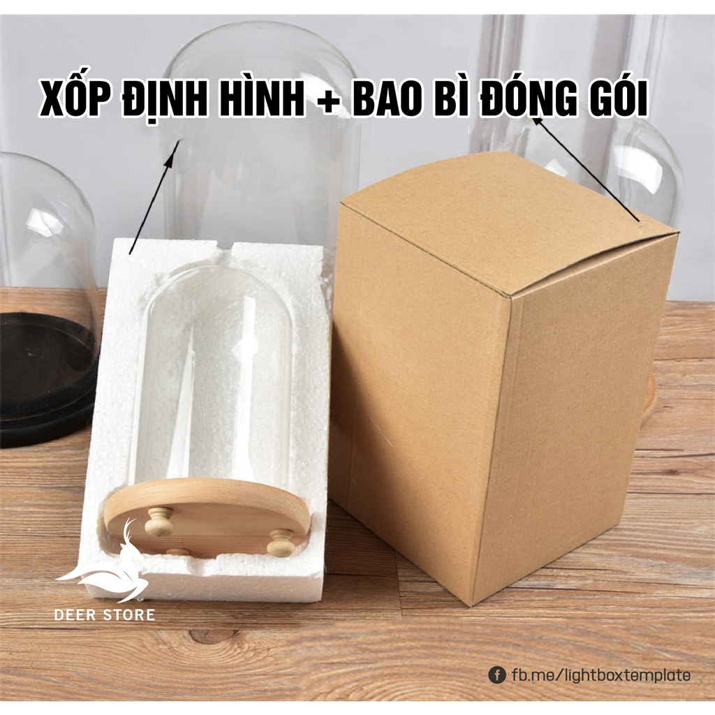 Chụp thủy tinh đế gỗ bảo vệ mô hình và trang trí phòng. Size 7x12 cm