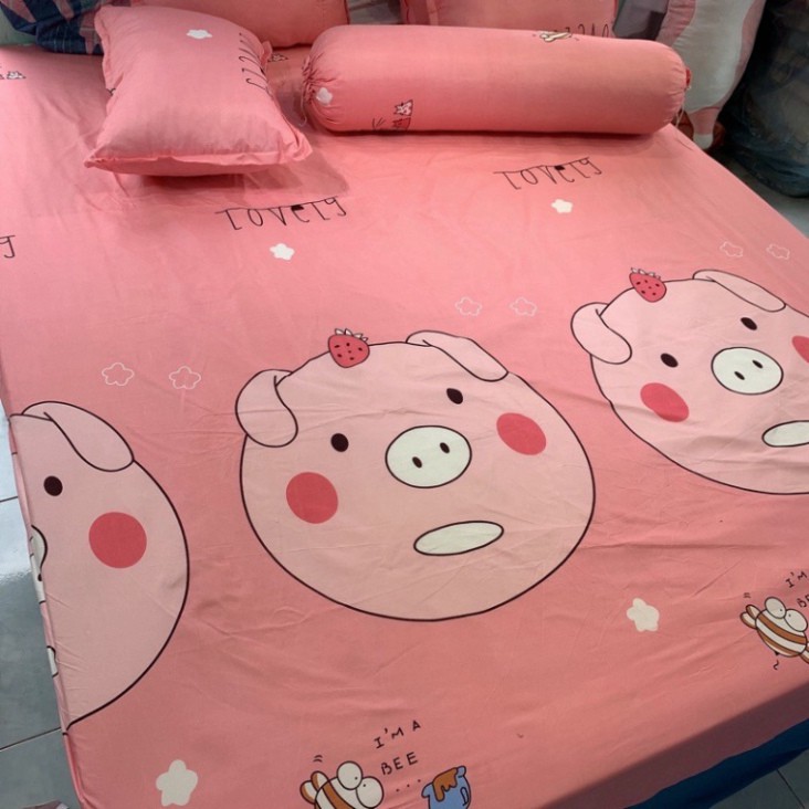 Chính Hãng Bộ ga kèm đôi vỏ gối poly cotton siêu ngộ giá rẻ kích thước m6 hoặc m8 (được chọn mẫu) VNXK
