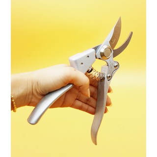 KÌM ( KÉO) CẮT  CÂY CẢNH KAPUSI K-8618 TRẮNG 8in