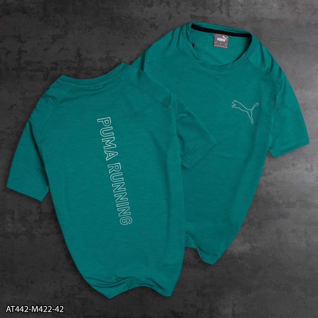 Áo thun thể thao lỗ kim 4 chiều AT442 - thể thao nam VNXK 🐯