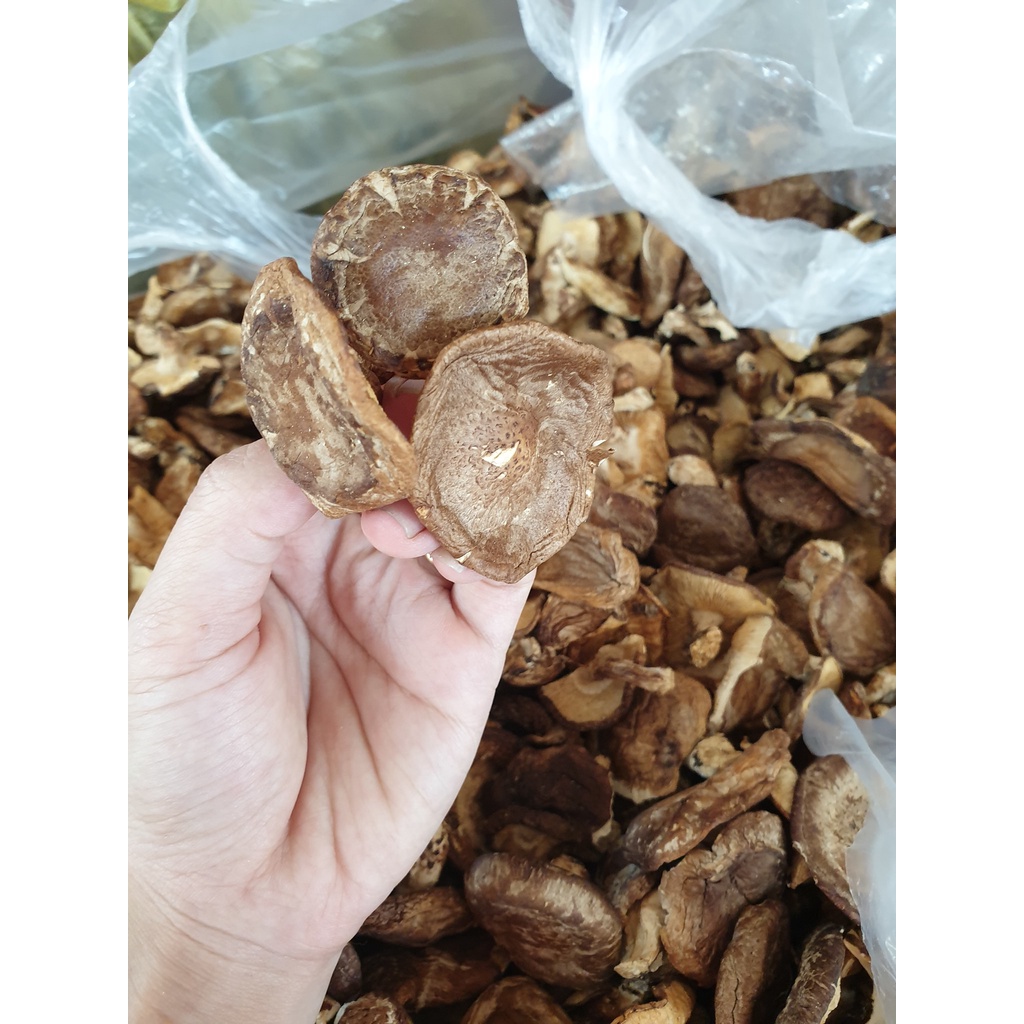 Nấm hương rừng Sapa 1kg giá sốc