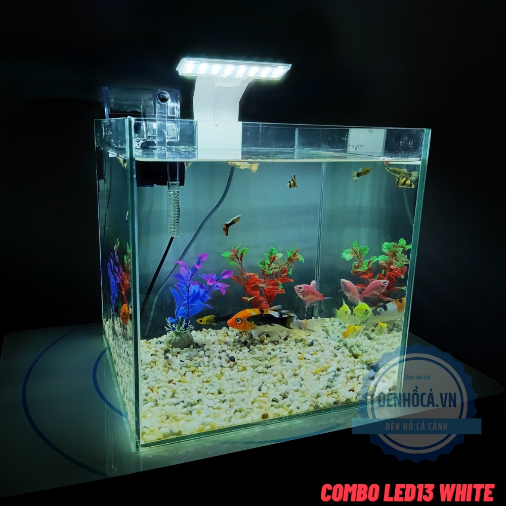 Bể cá mini CUBIC 25cm để bàn
